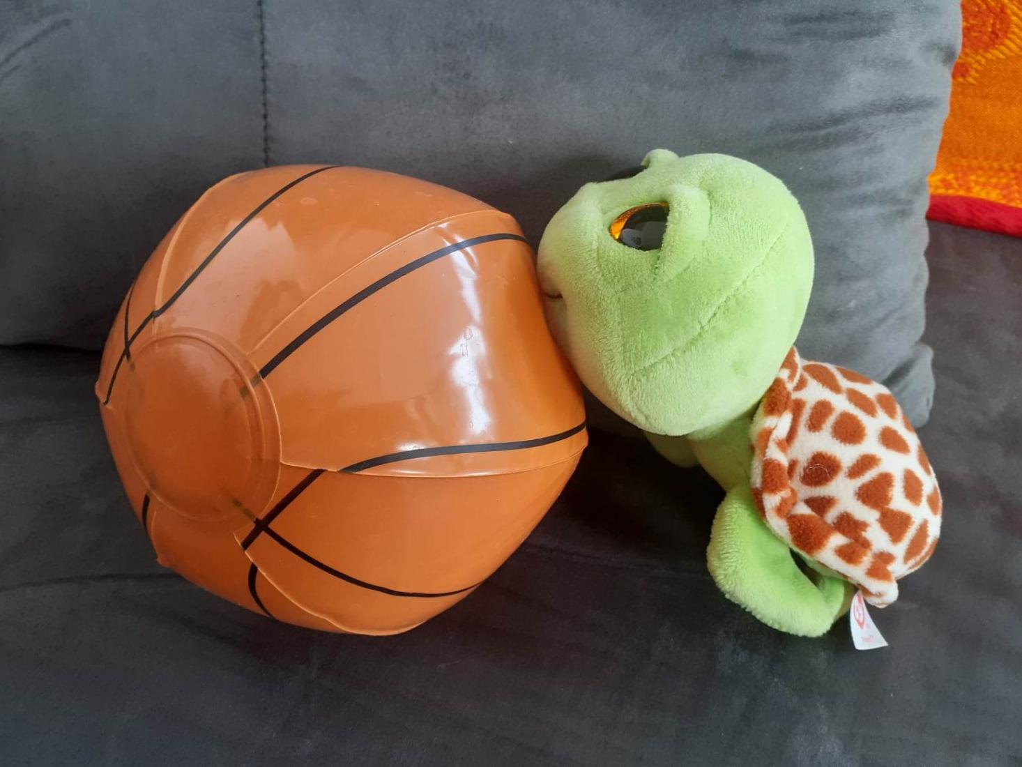 Sam, notre mascotte en U5